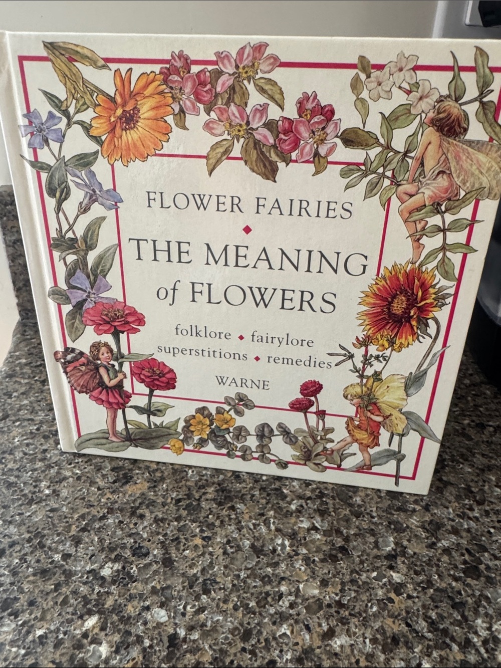 Flower Fairies "The Meaning of Flowers" Decorative Book 1990 Reprint